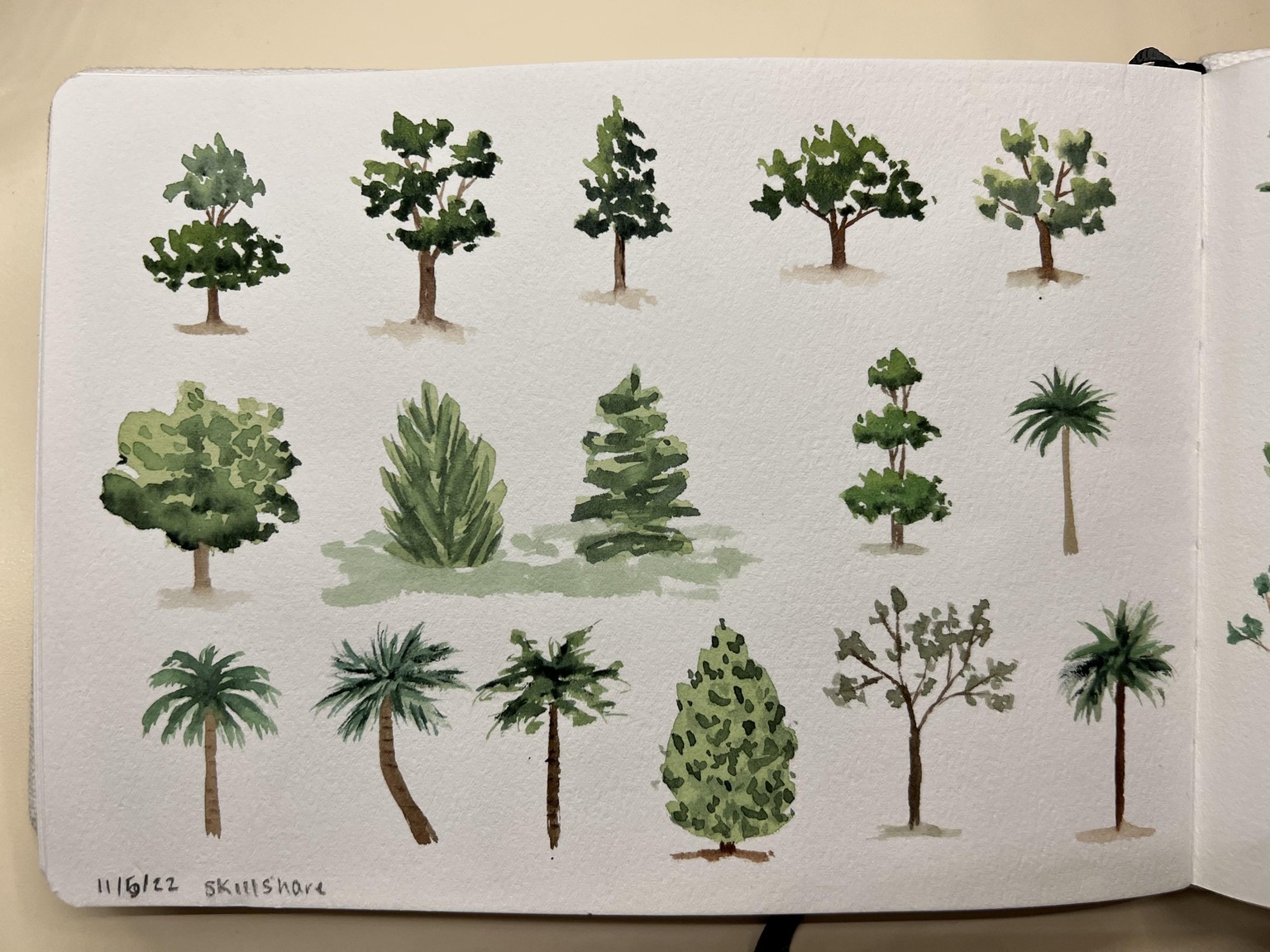Tree practice - image 3 - student project