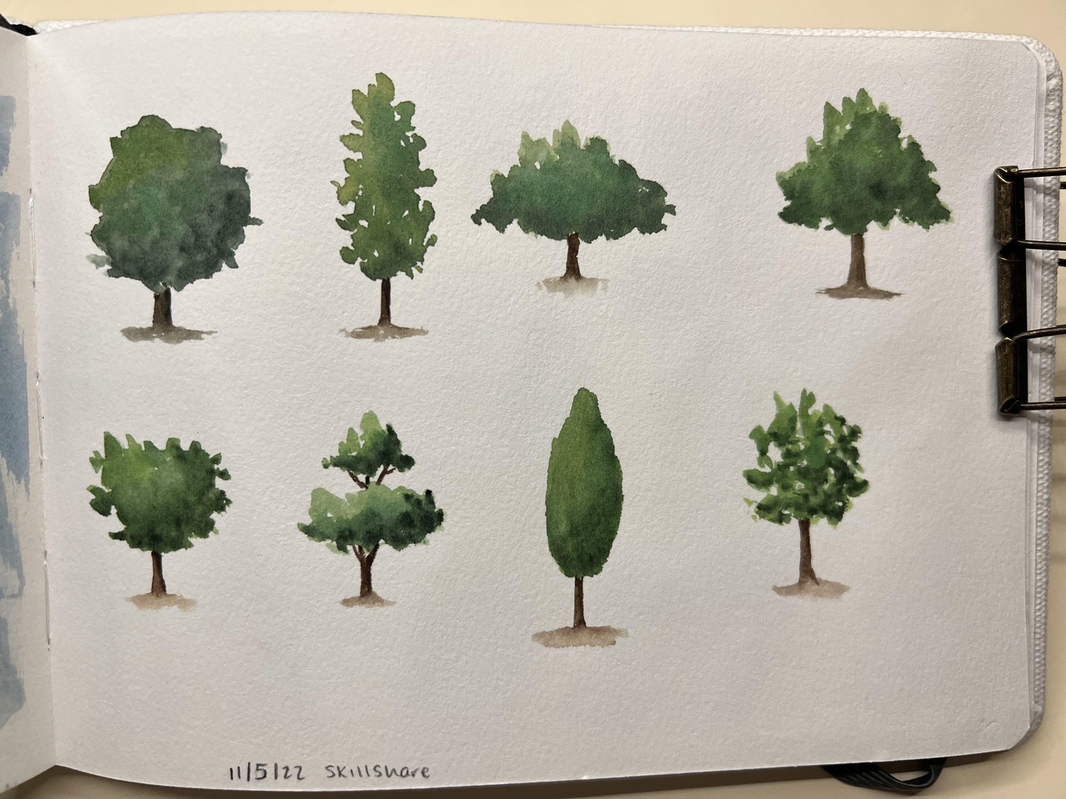 Tree practice - image 2 - student project