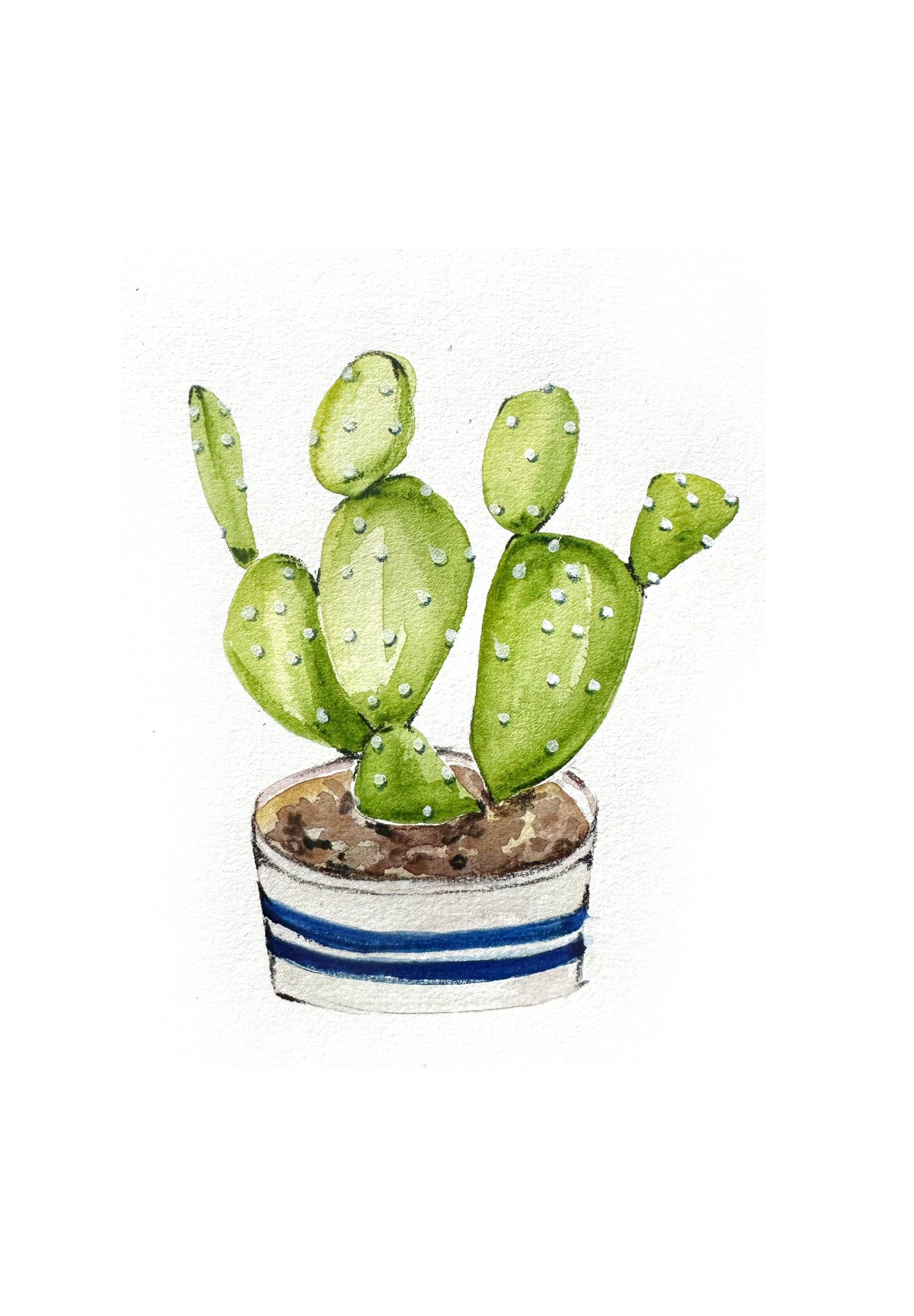Cacti Project - image 2 - student project