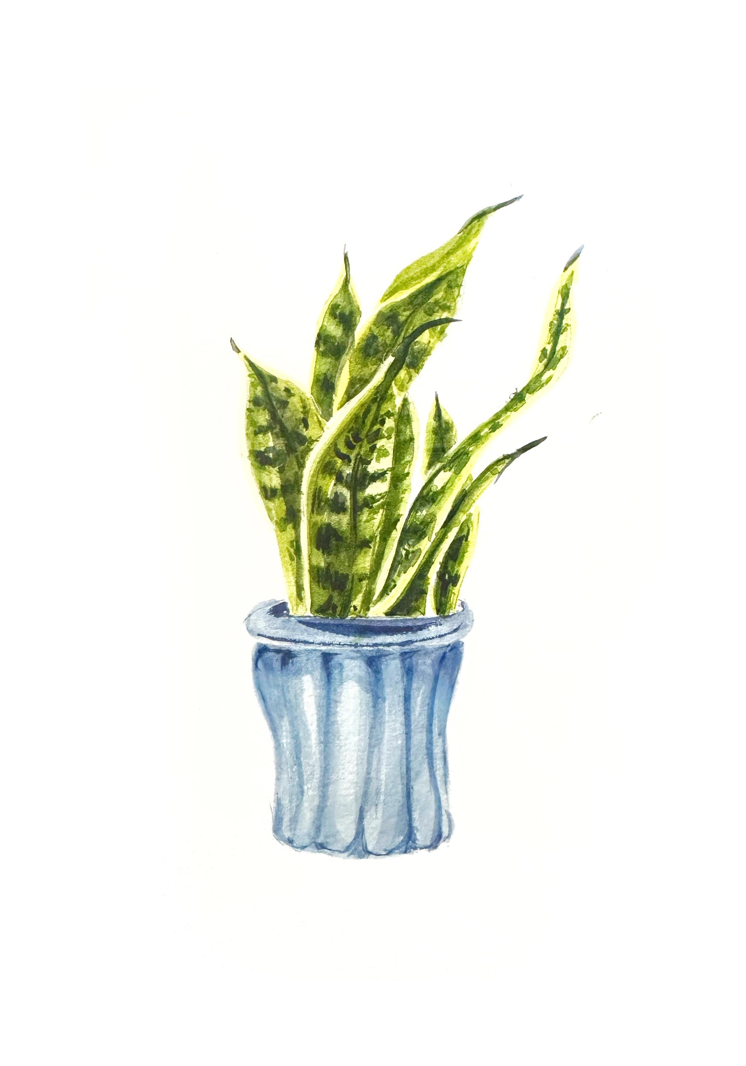 Cacti Project - image 1 - student project