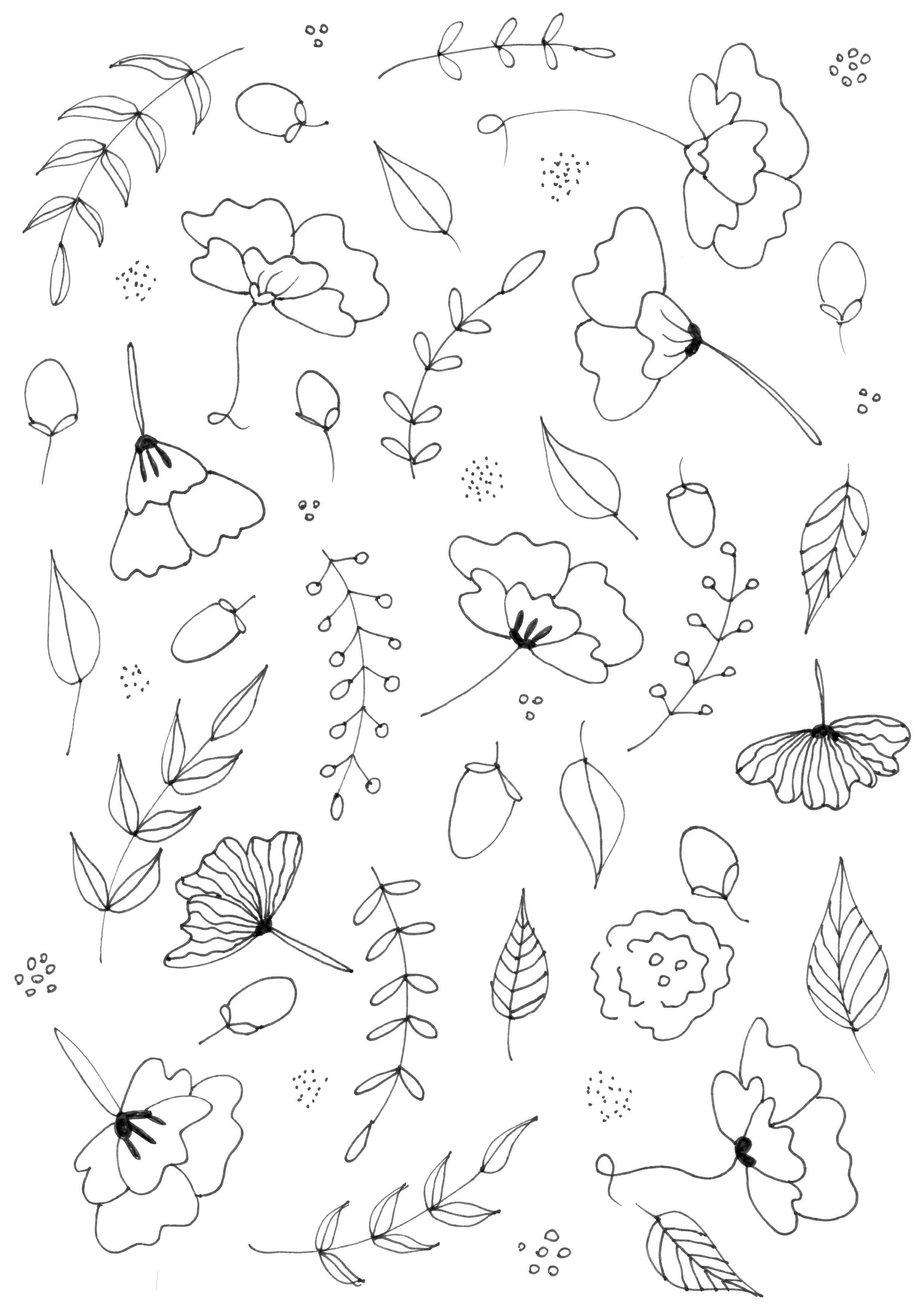 Botanical Line Drawing Practice and Pattern - image 4 - student project