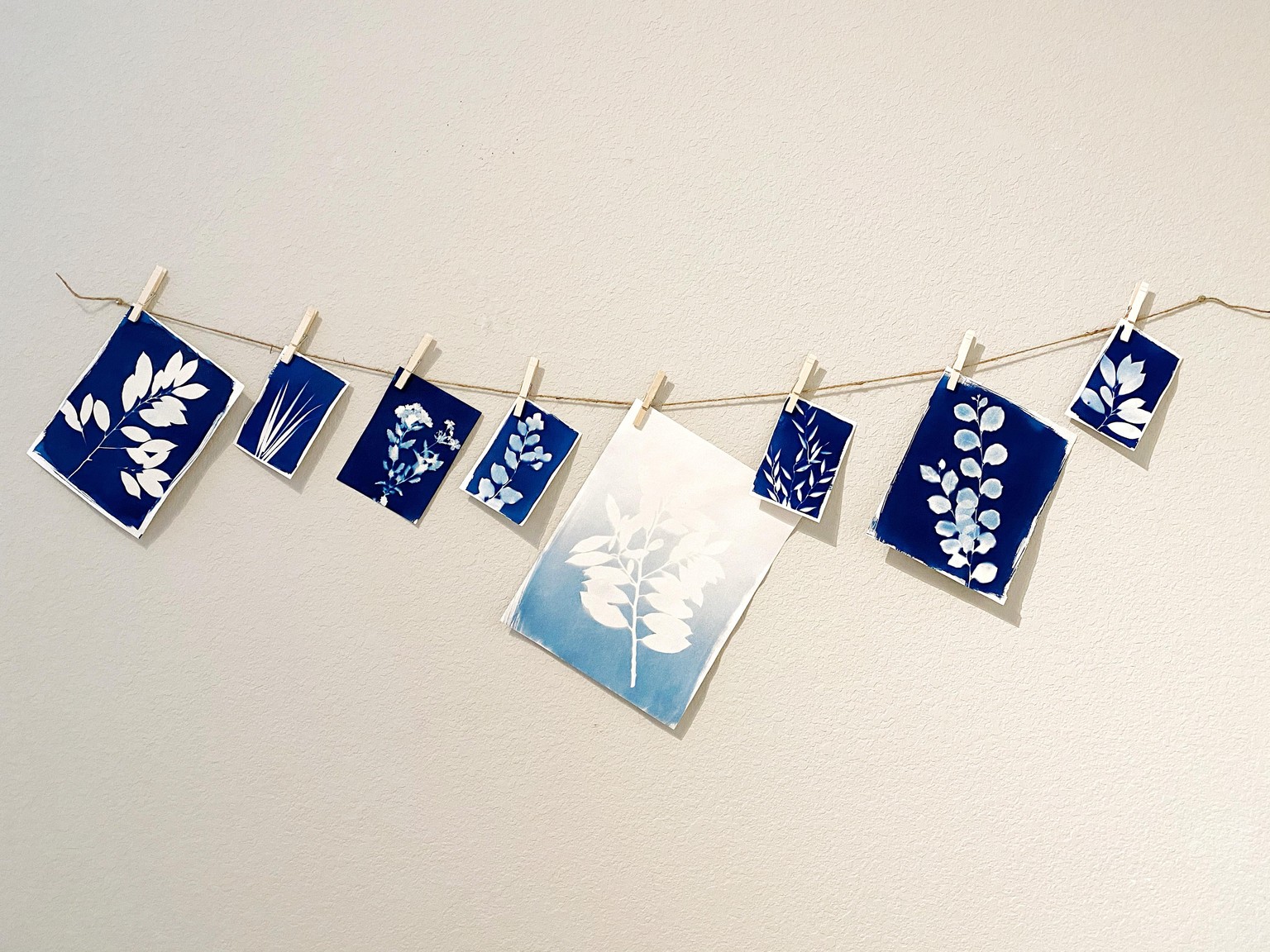 Backyard Botanicals - image 1 - student project