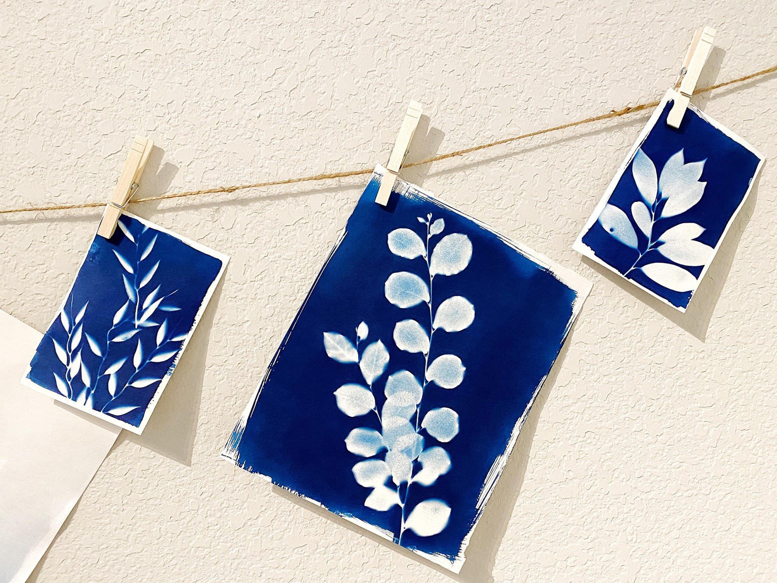 Backyard Botanicals - image 2 - student project