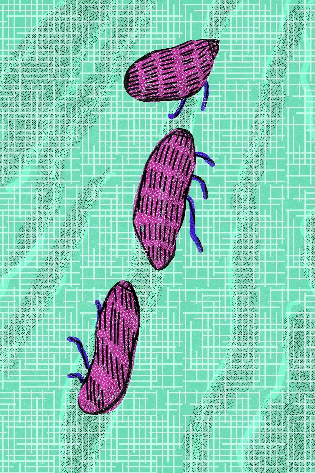 Zoo Roaches - image 2 - student project