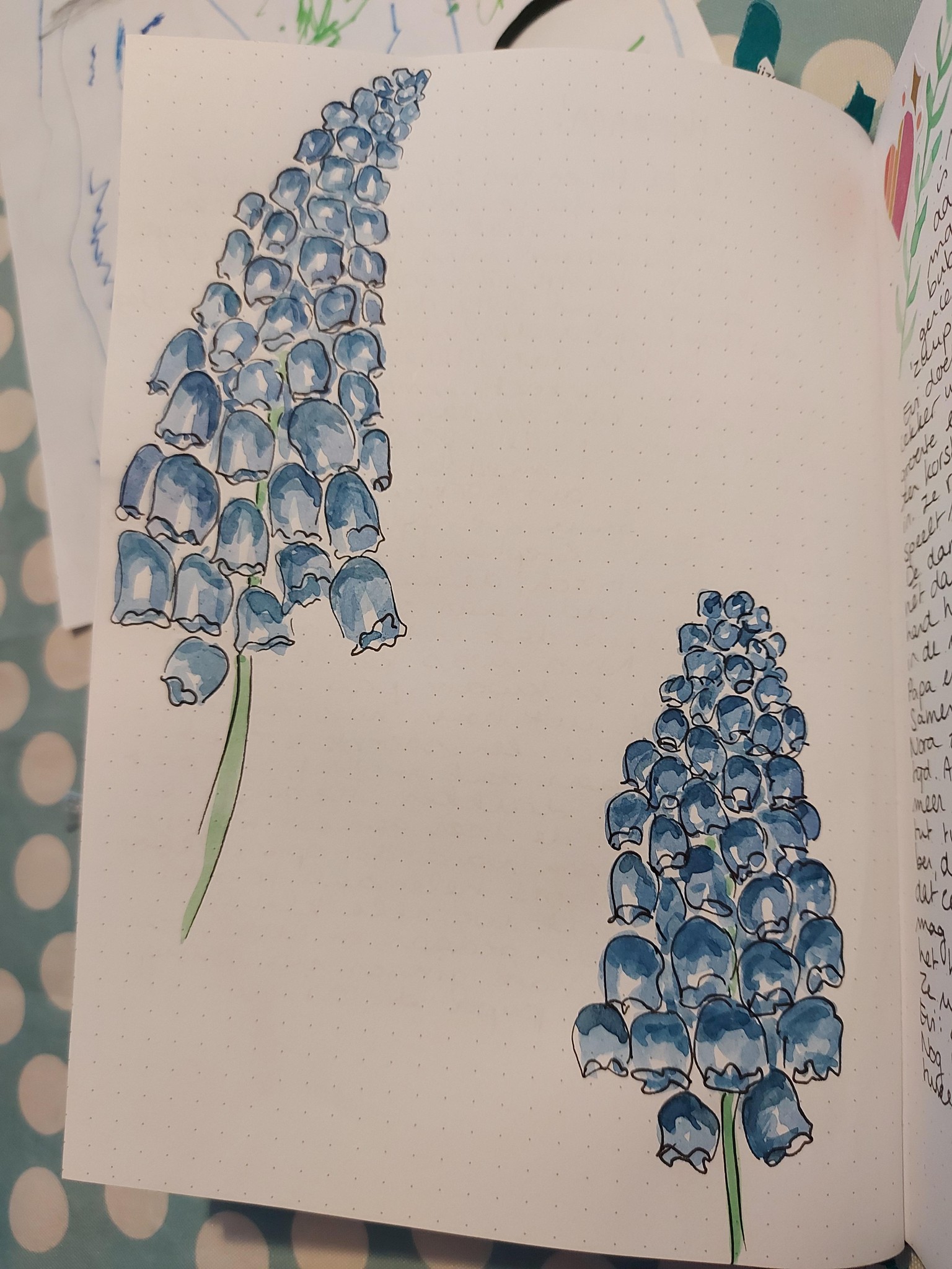My flowers - image 1 - student project