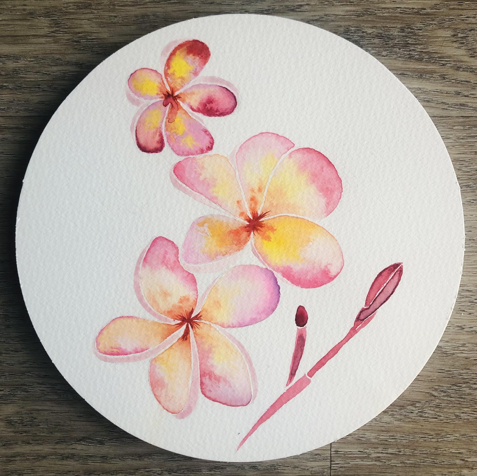 My Watercolor Botanicals - image 3 - student project
