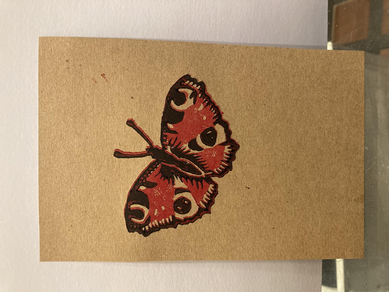 Butterfly - image 2 - student project