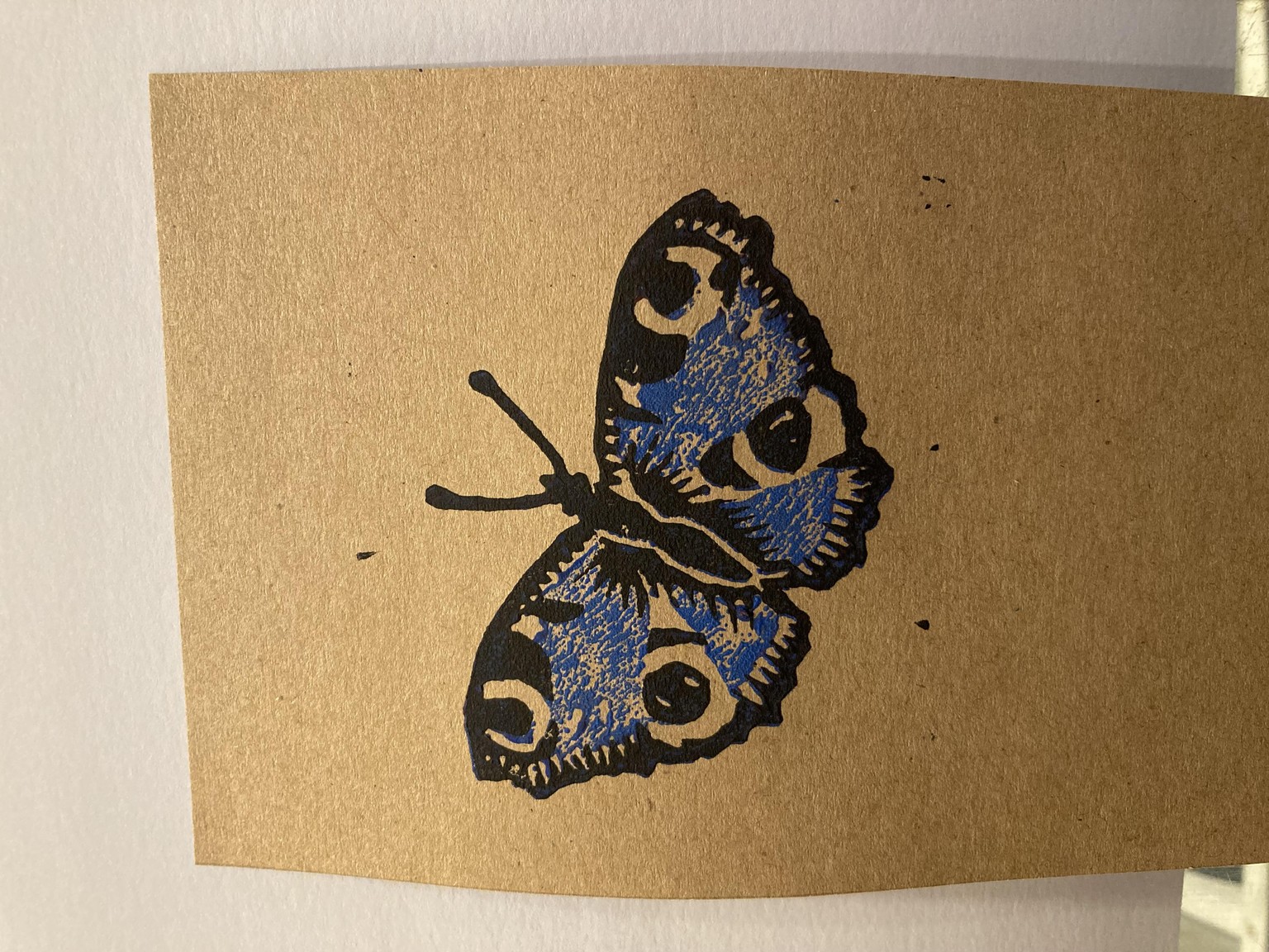 Butterfly - image 3 - student project