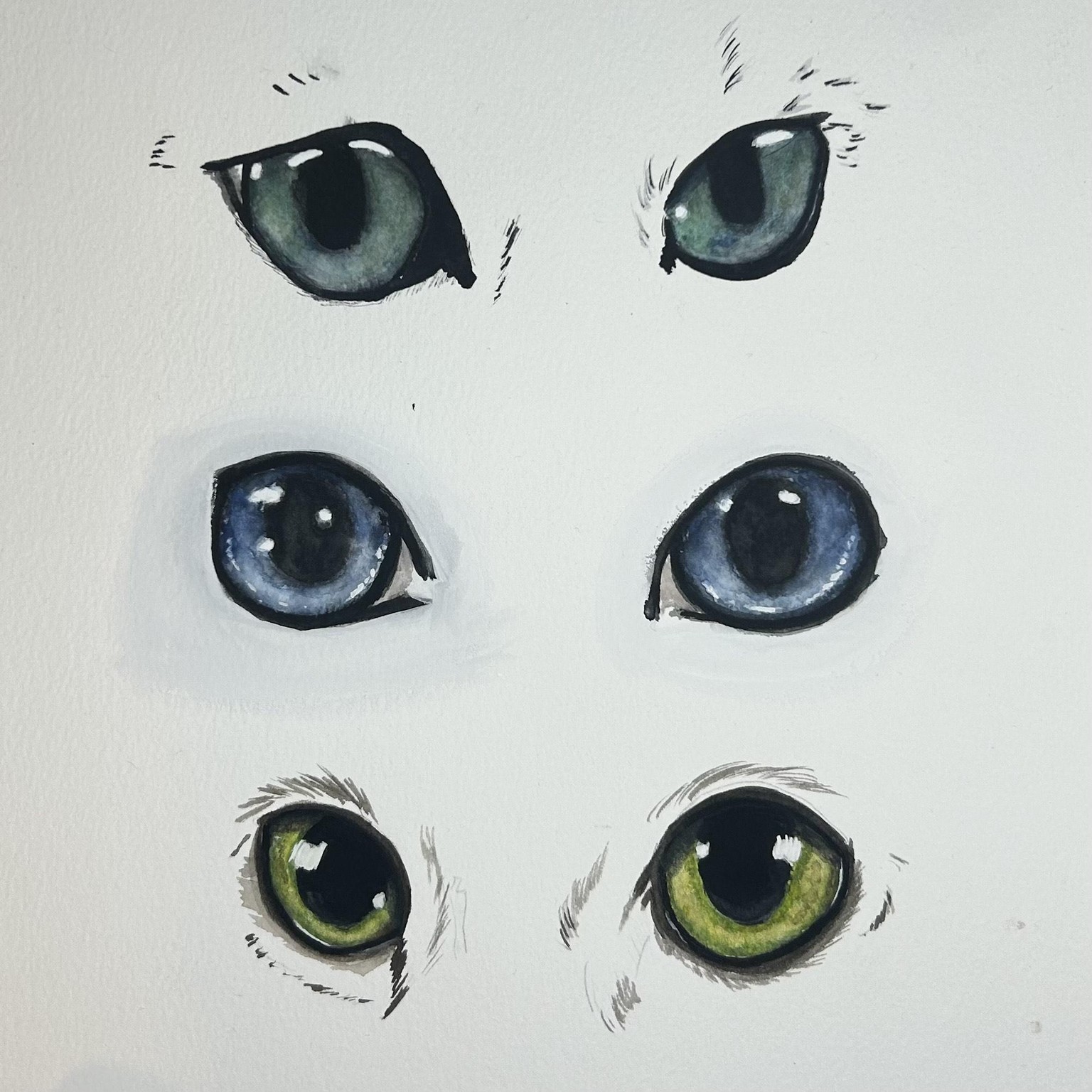 Cat Eyes - image 1 - student project