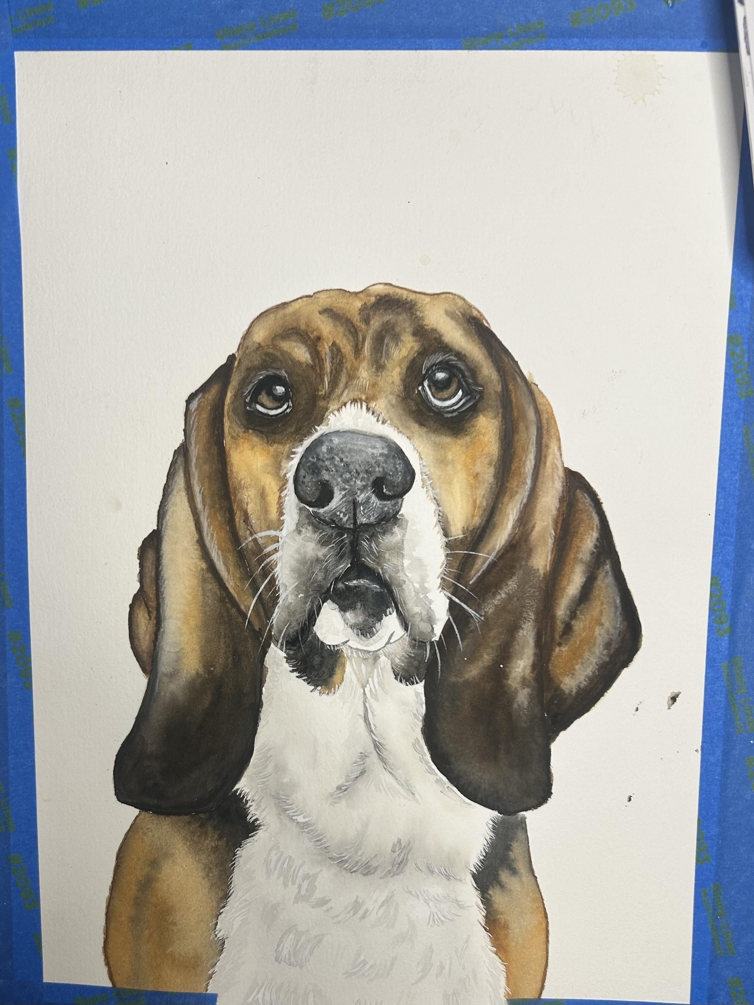 Cooper - image 1 - student project