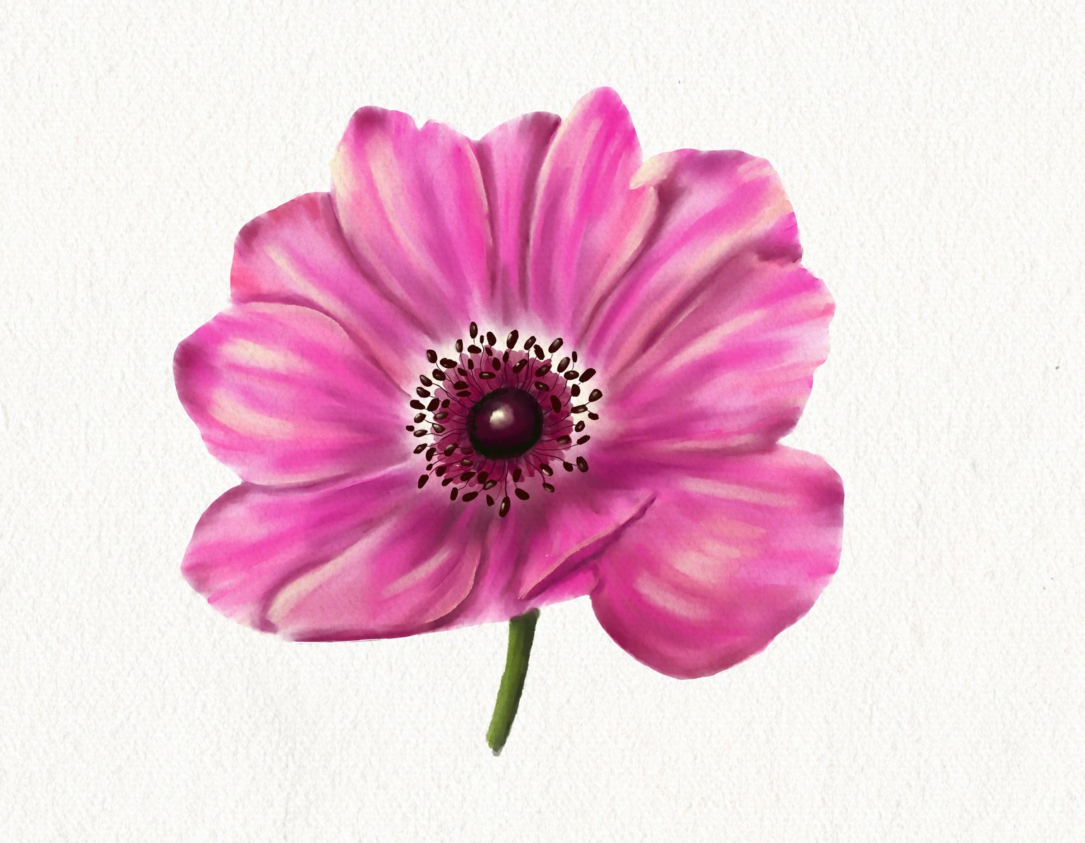 Anemone - image 2 - student project