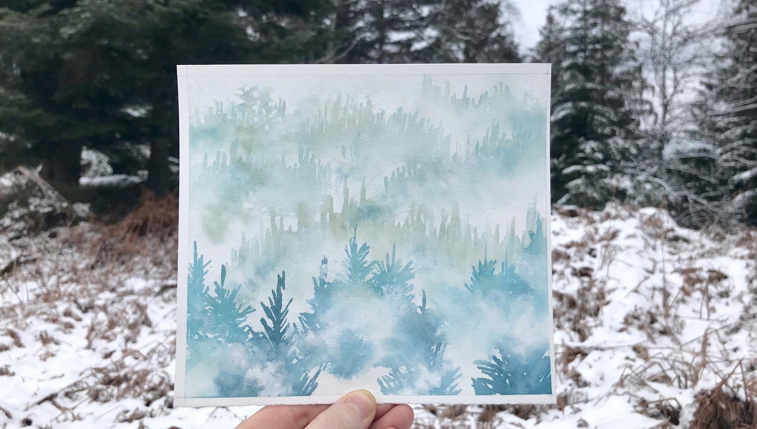 a misty forest - image 1 - student project