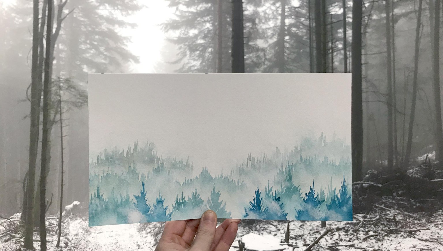 a misty forest - image 2 - student project