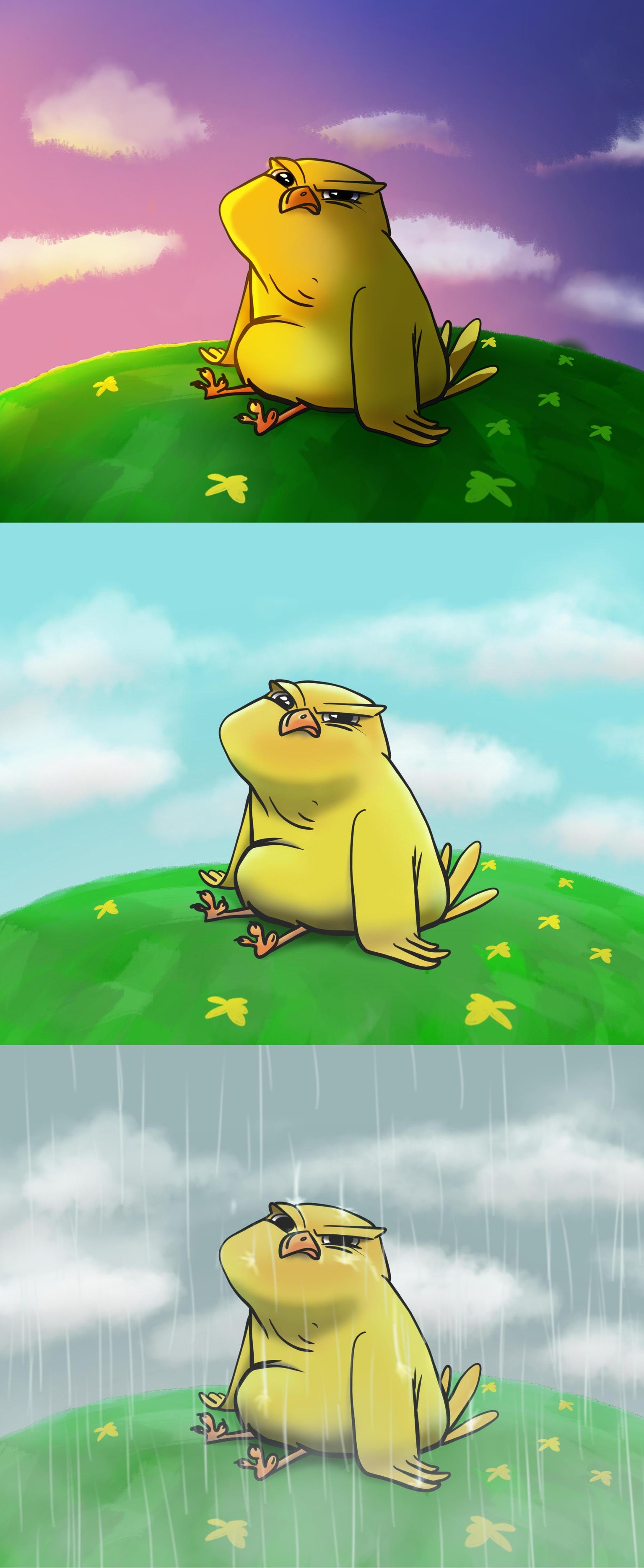 Angry chick. - image 1 - student project