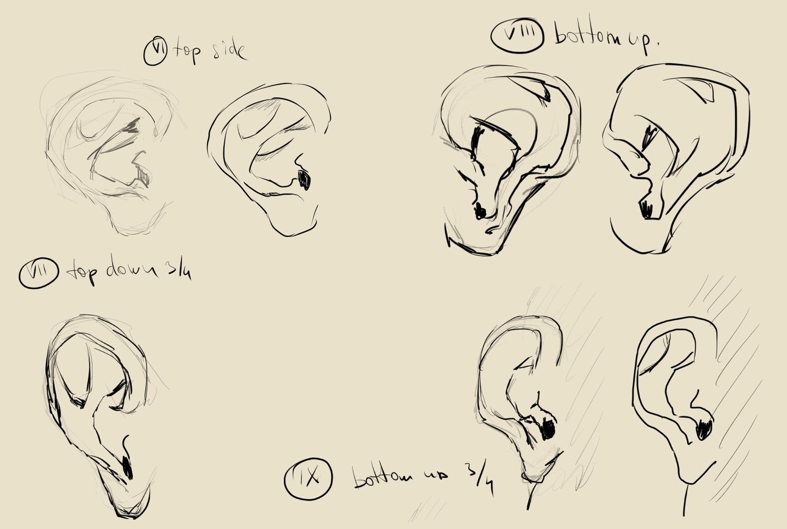 Ears class - image 2 - student project