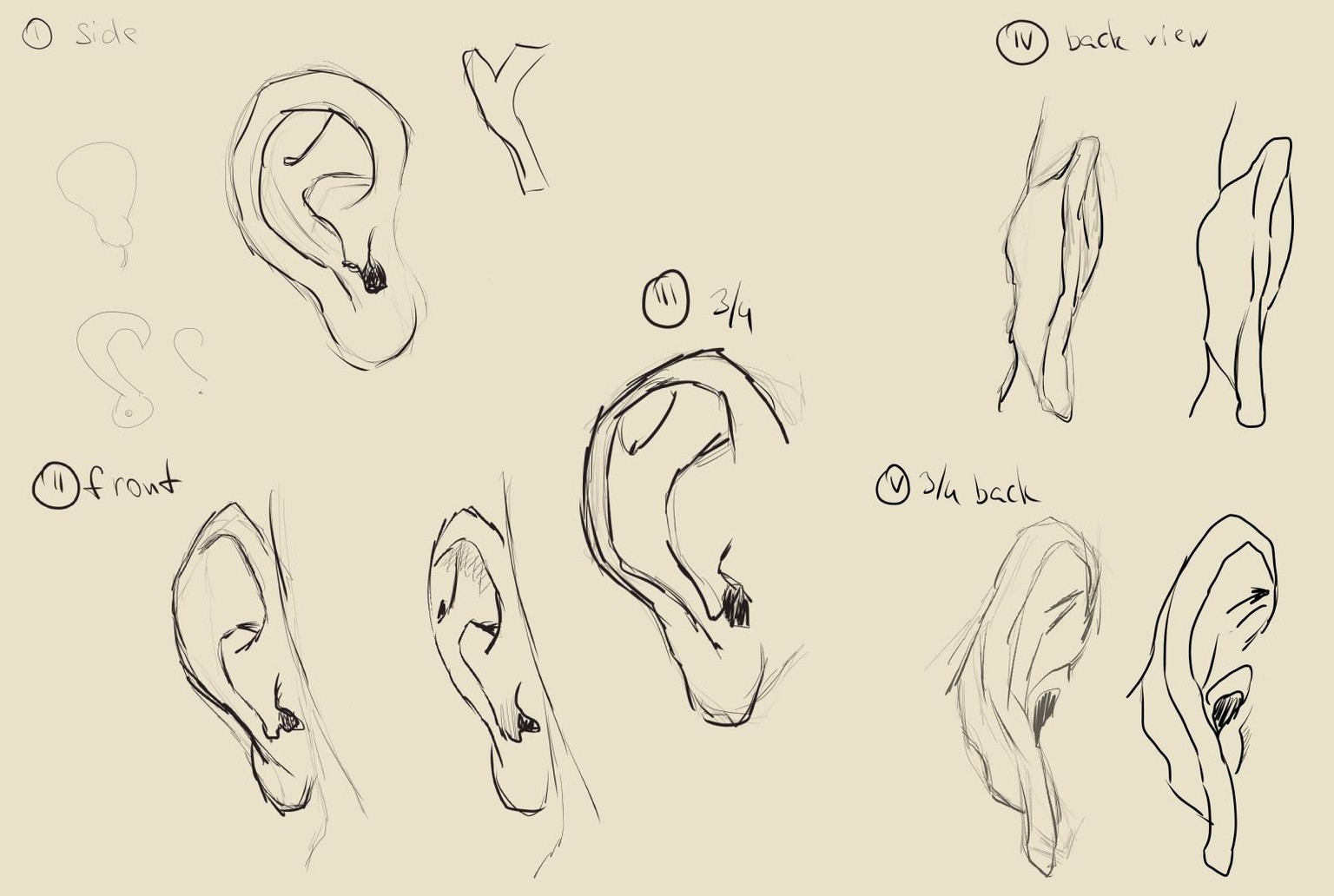 Ears class - image 1 - student project
