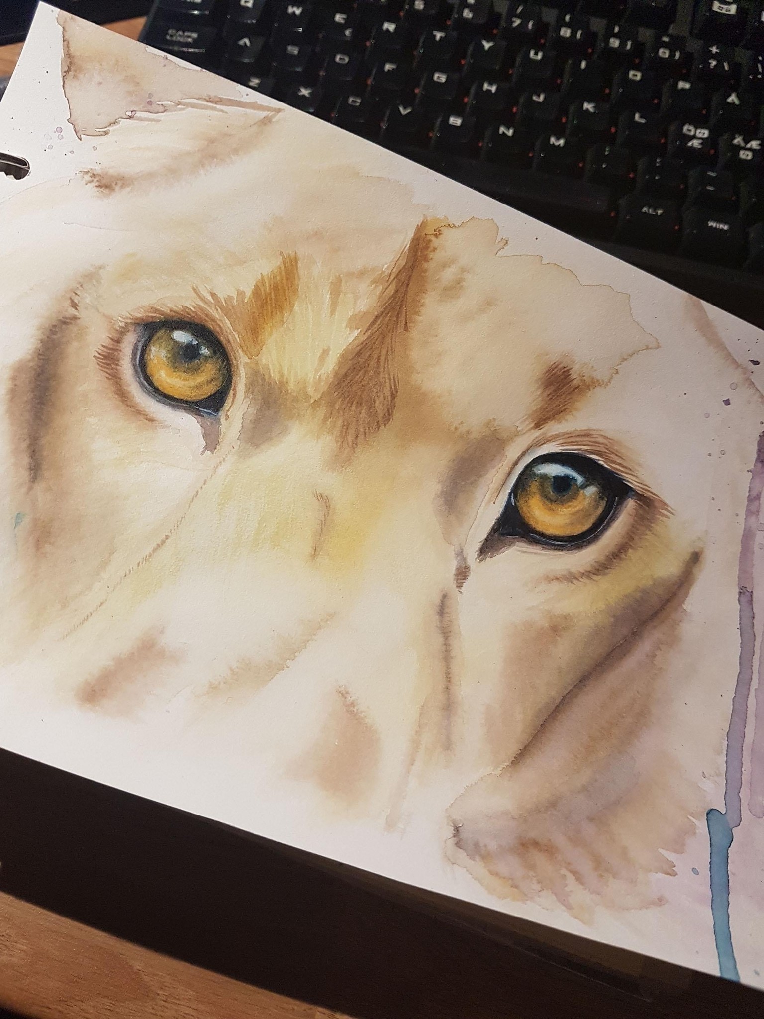 Lion eyes - image 1 - student project
