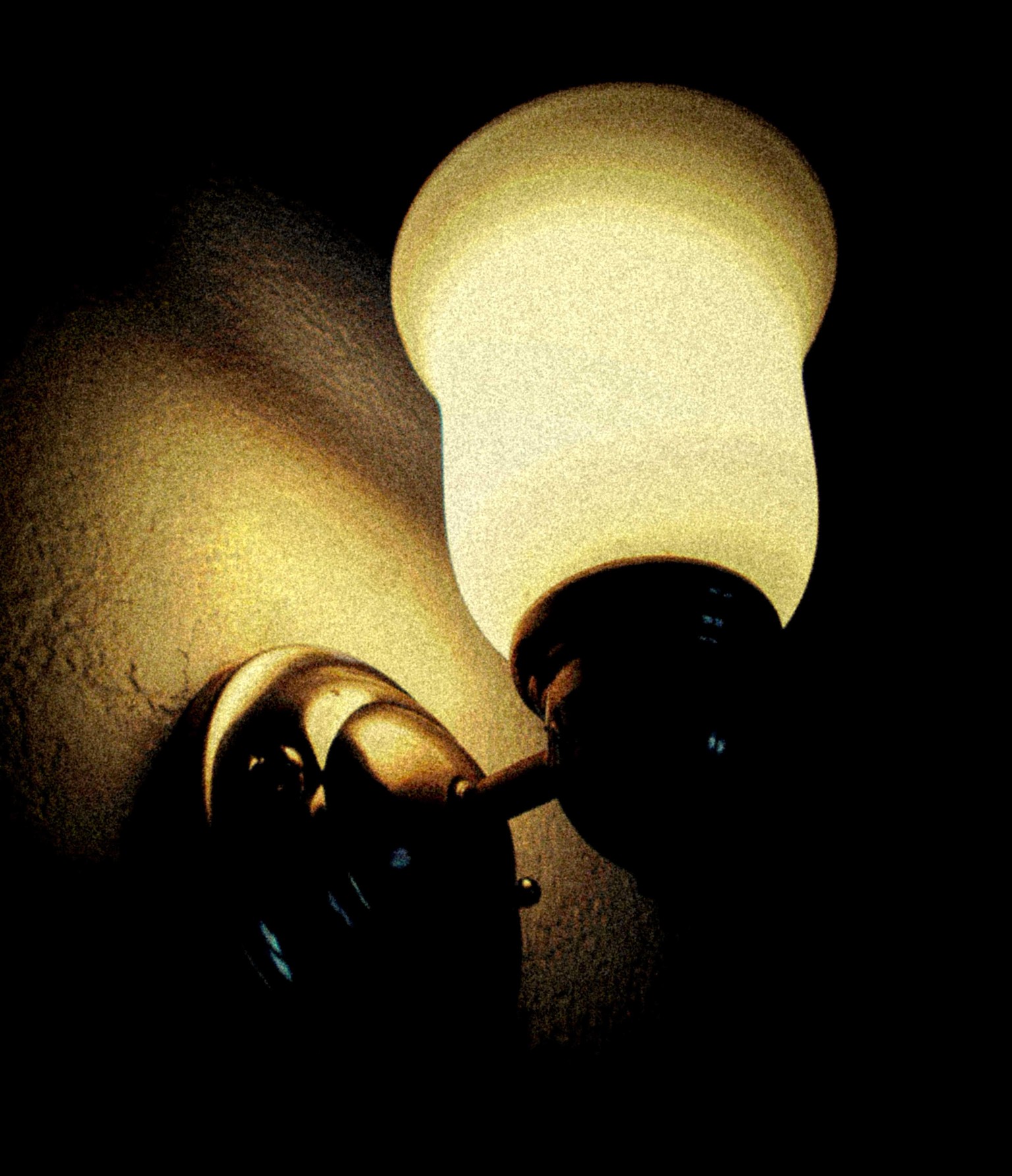 The Toy Camera Project - image 3 - student project