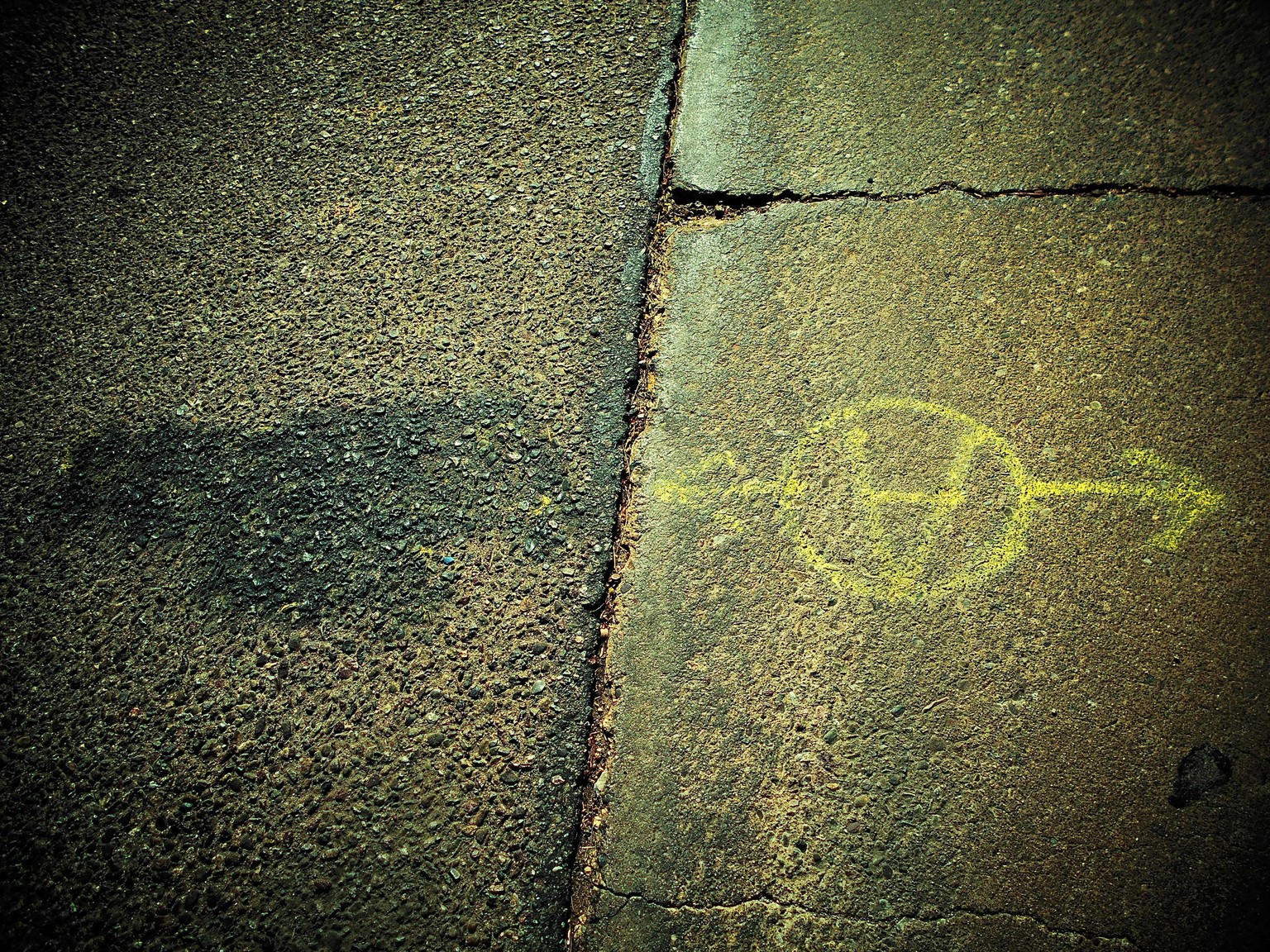 The Toy Camera Project - image 6 - student project
