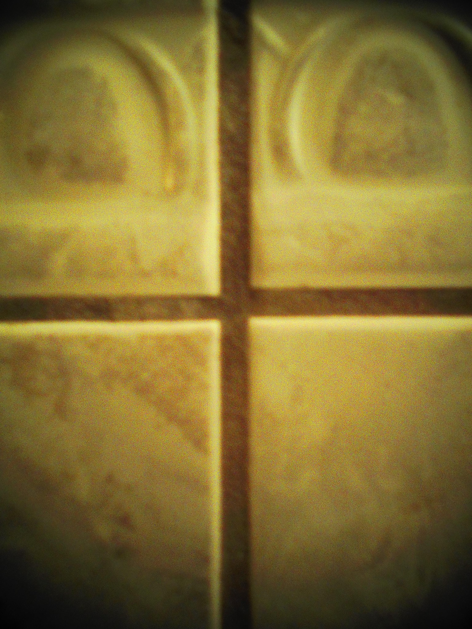 The Toy Camera Project - image 1 - student project