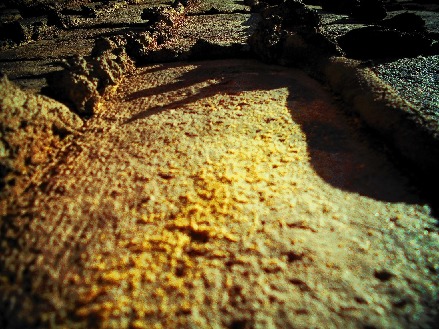 The Toy Camera Project - image 7 - student project