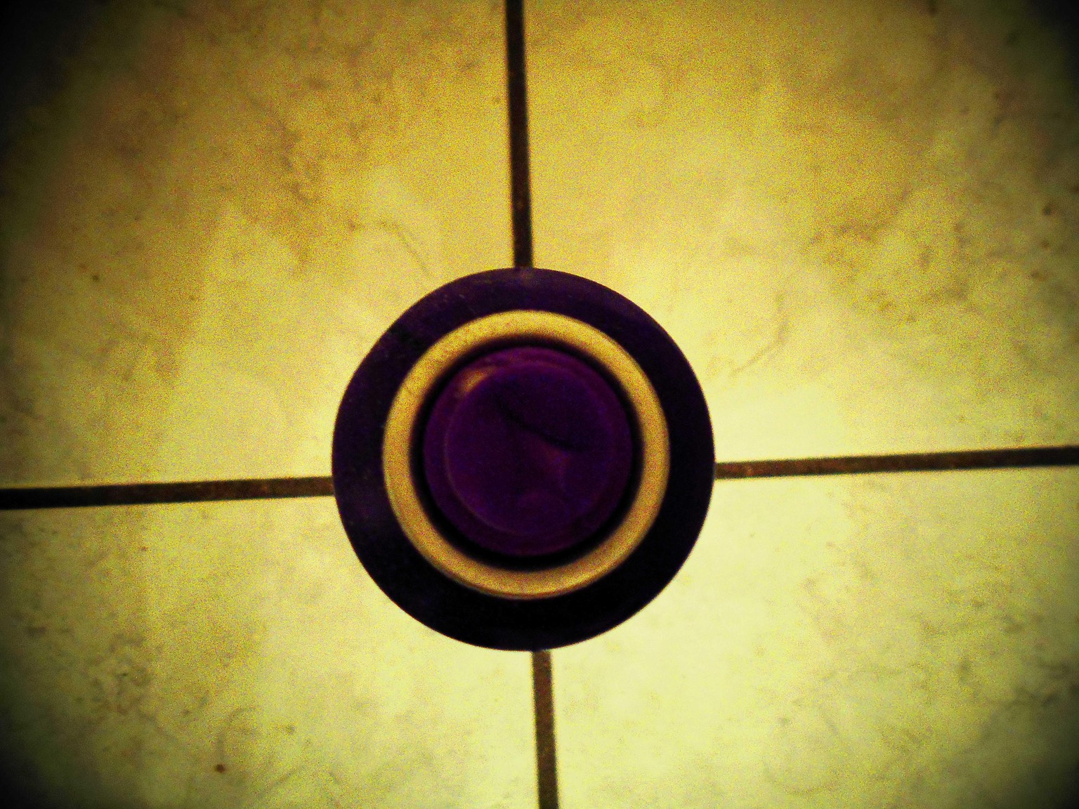 The Toy Camera Project - image 2 - student project