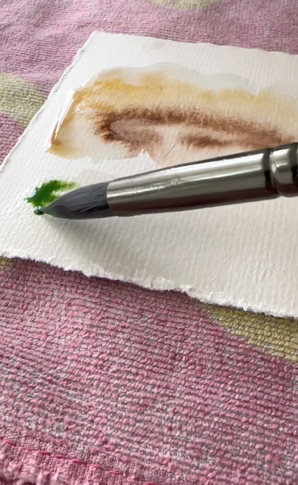 Water Color Reel - image 1 - student project