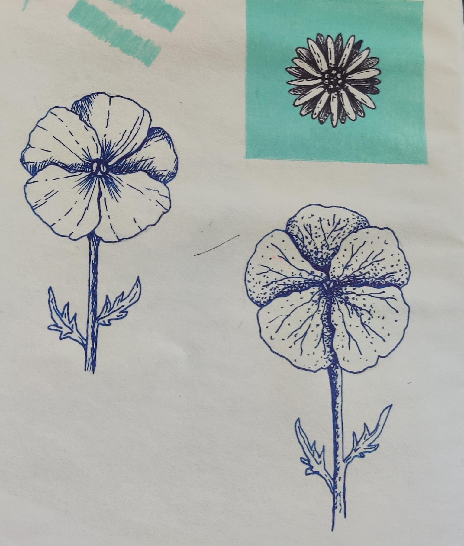 Hello! - image 2 - student project