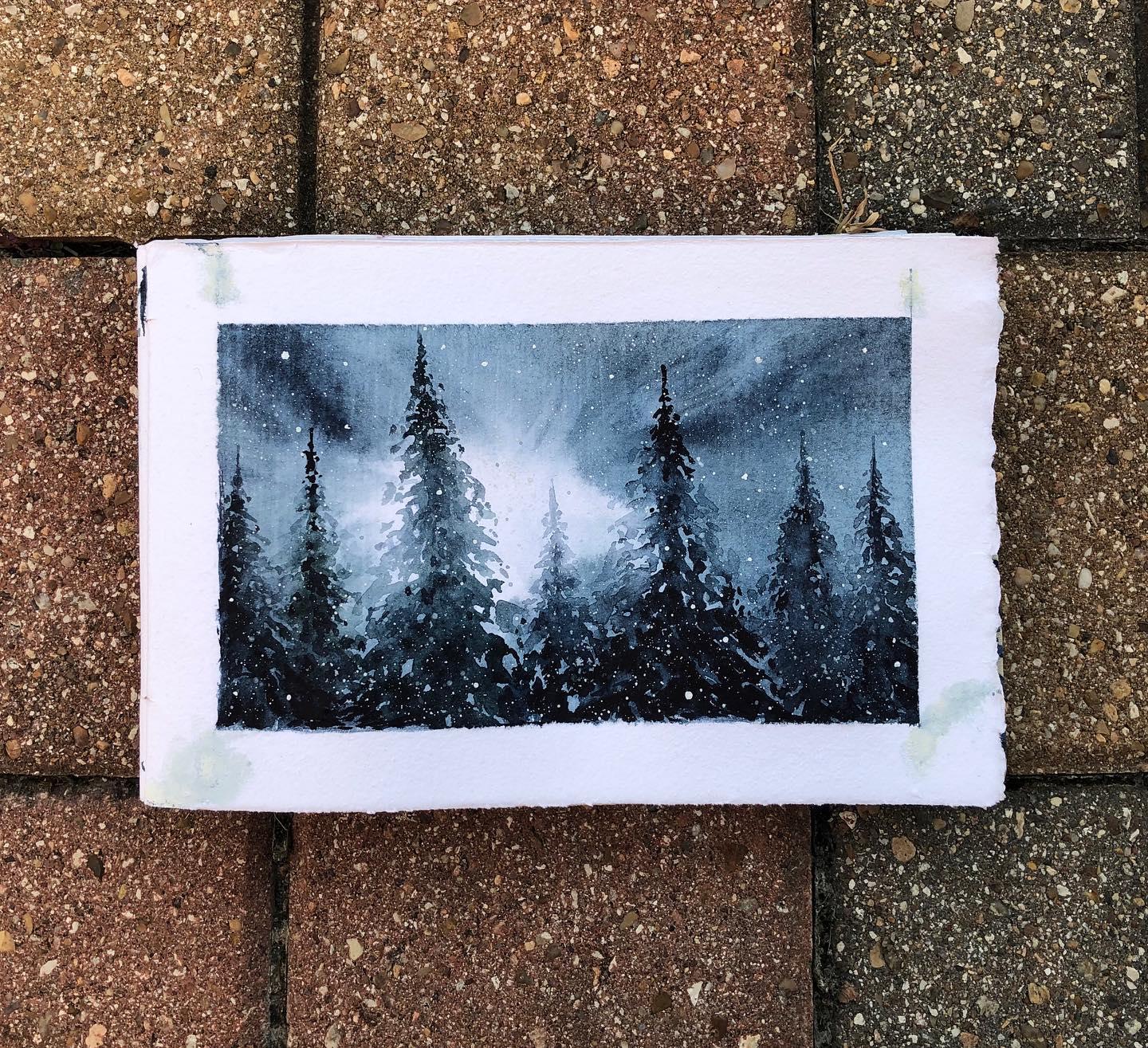 The mysterious backlit pines - image 1 - student project
