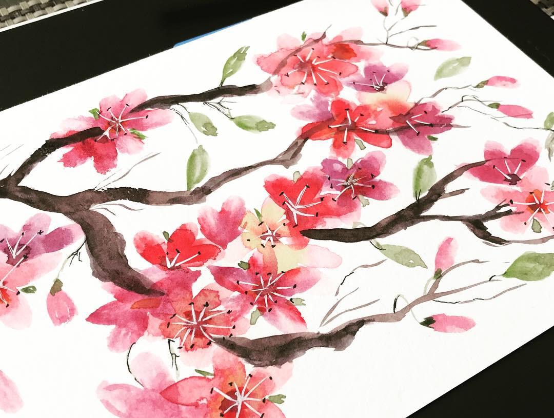 Cherry blossoms - image 1 - student project