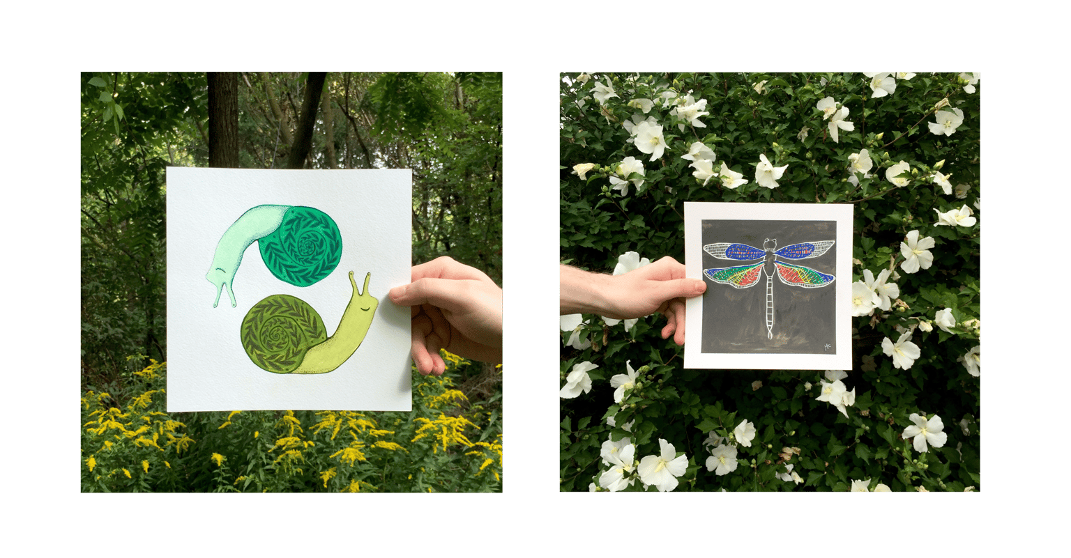 Take Better Photos of Your Art and Illustrations - image 5 - student project
