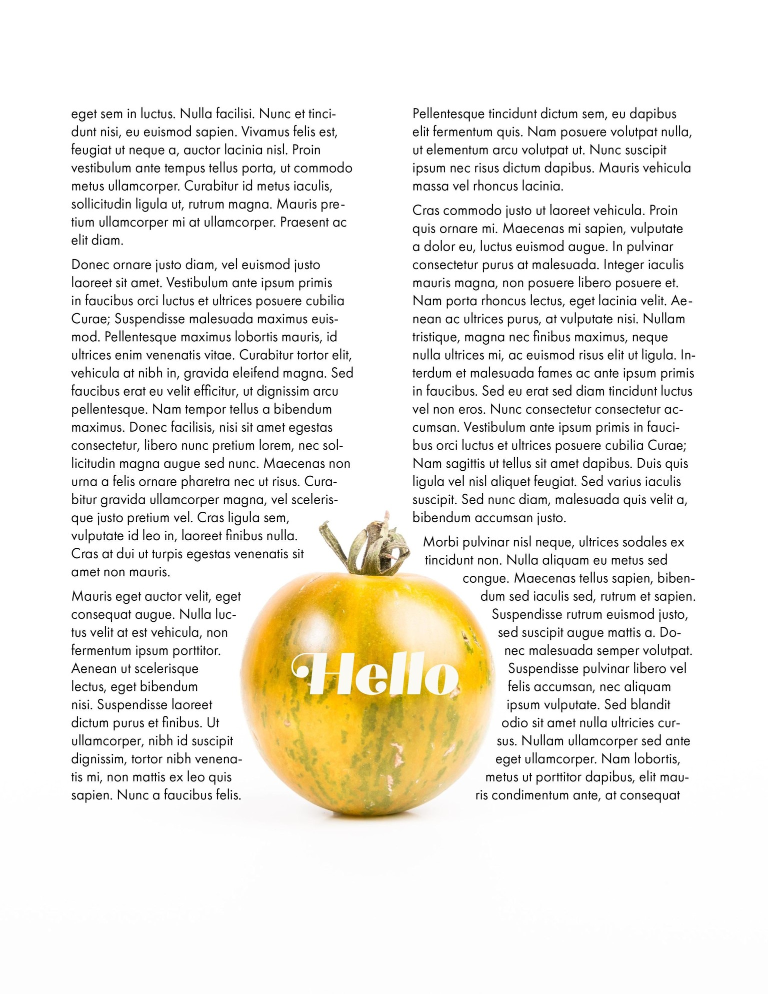 Learning InDesign - image 3 - student project