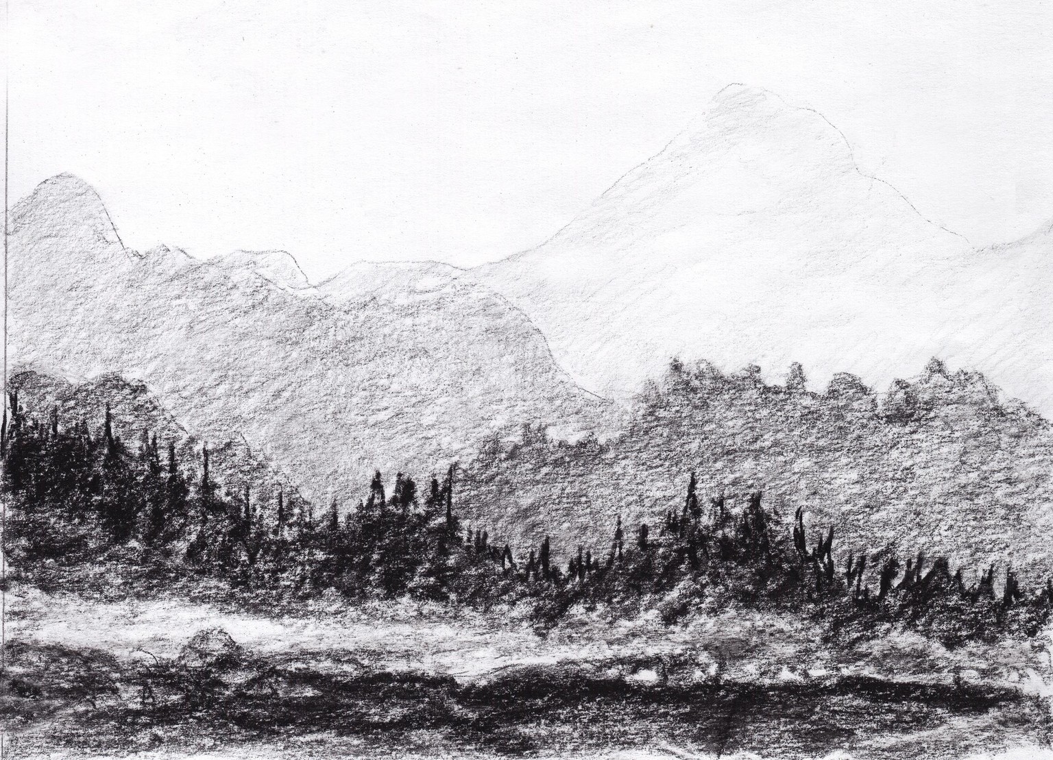 Weeks of tactille line drawings - image 1 - student project