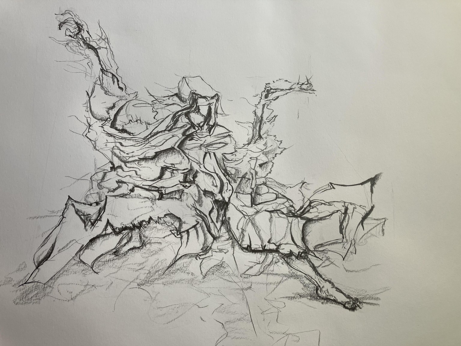 The Pareidol - image 3 - student project
