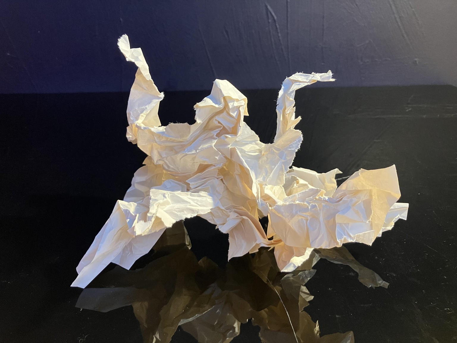 The Pareidol - image 1 - student project