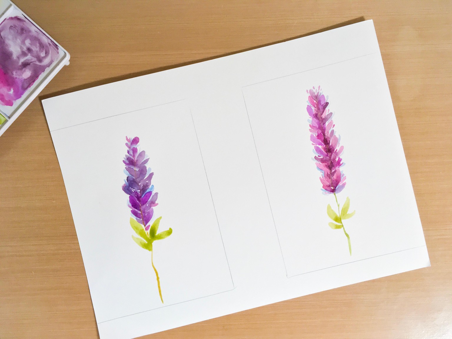My first and second attempt at watercolor lavender - image 1 - student project