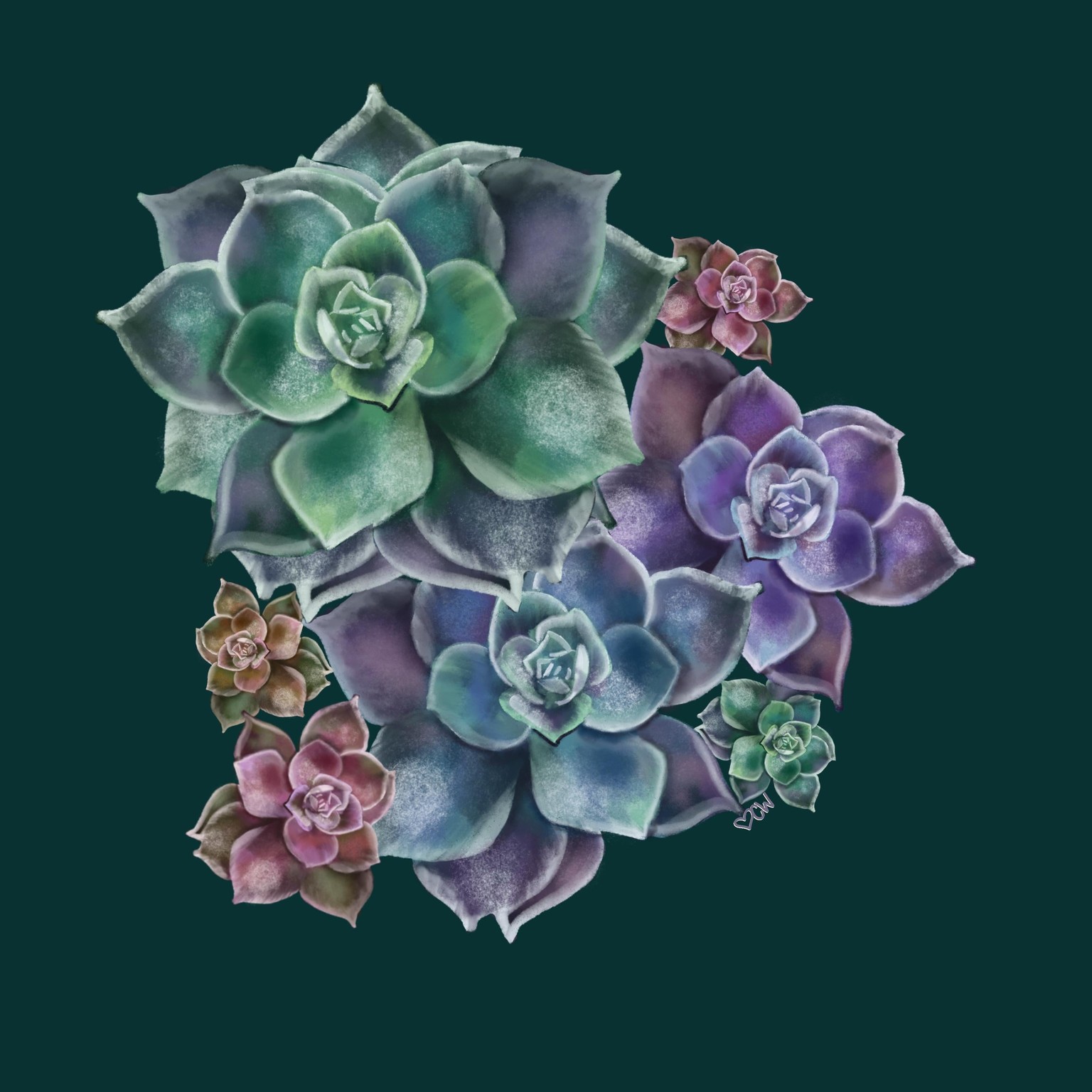 Succulents - image 1 - student project