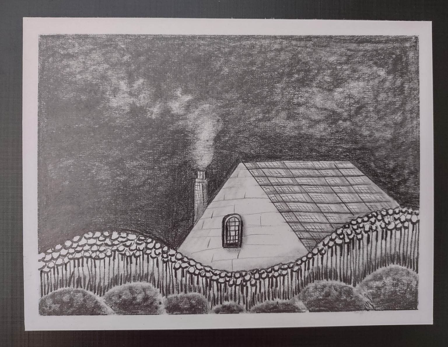Graphite Lesson - image 1 - student project