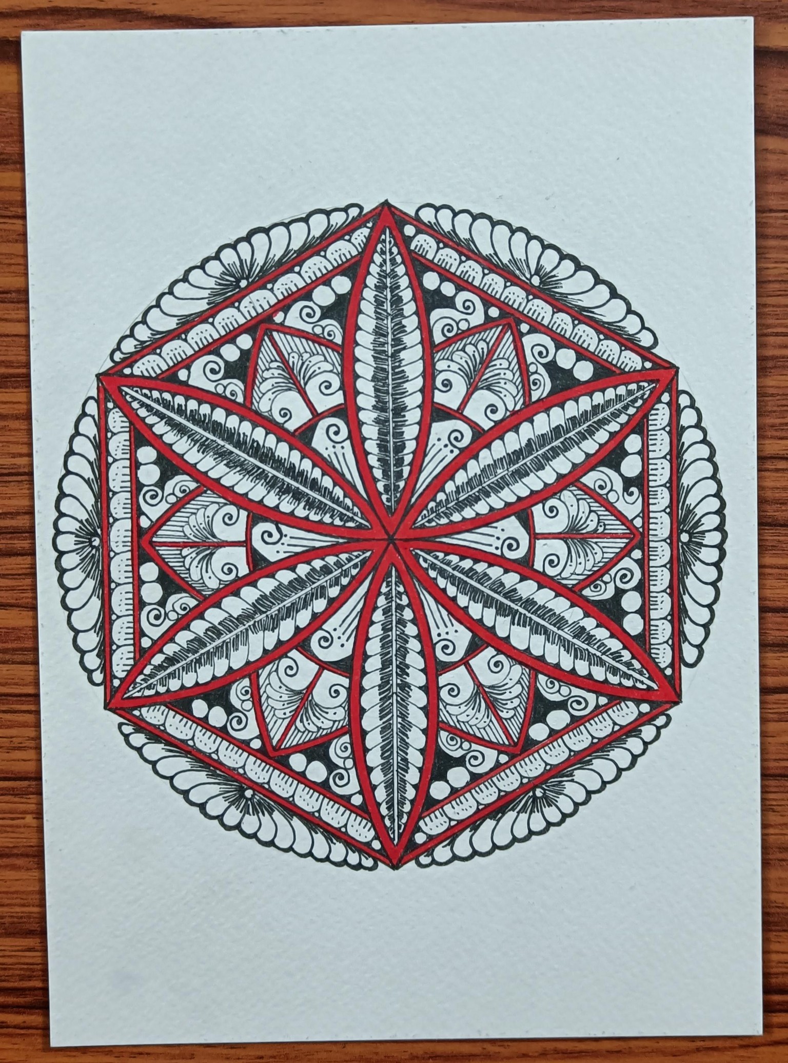 Chaitra Shenoy - image 2 - student project