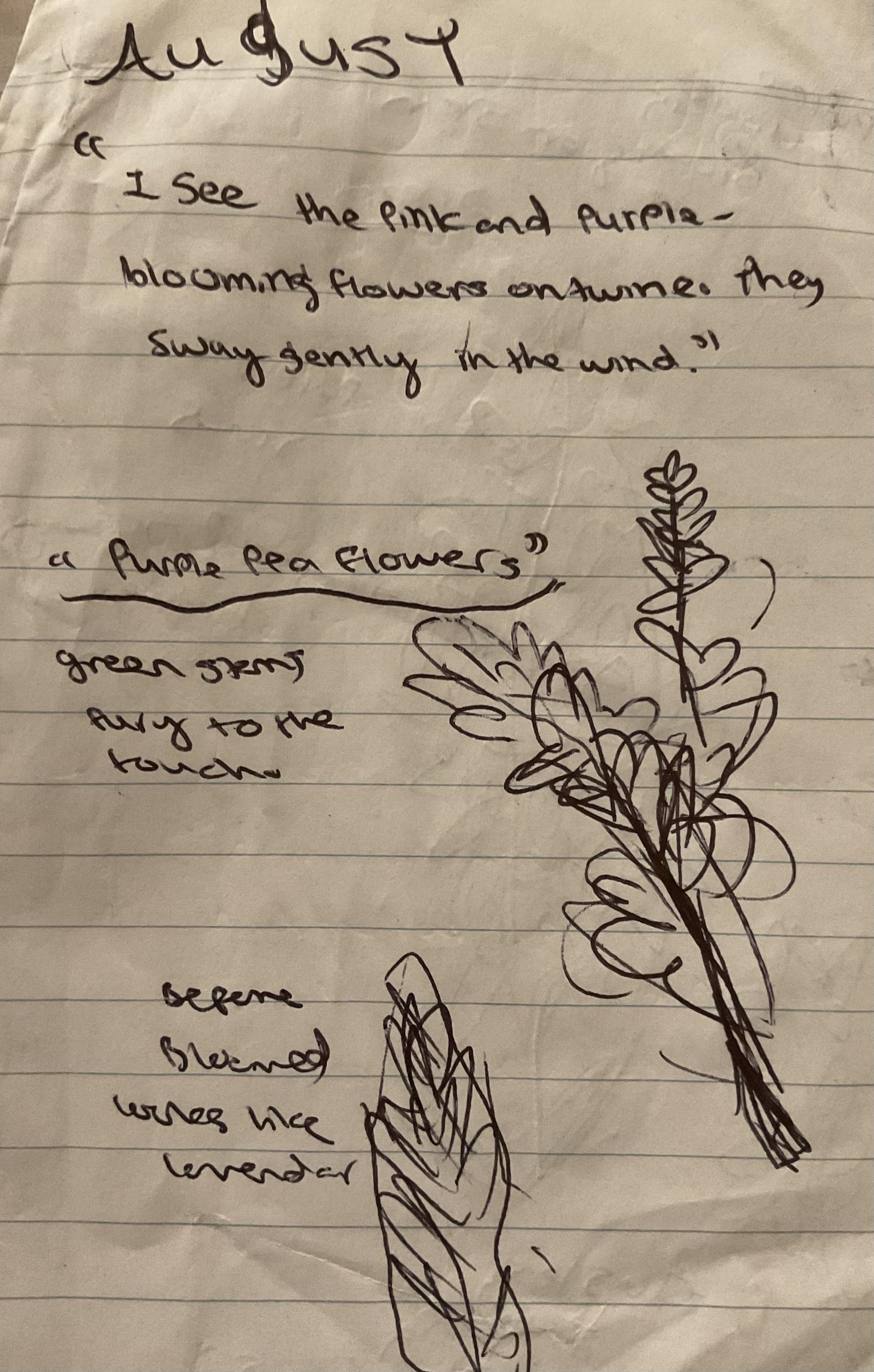 Nature journal spread - image 2 - student project