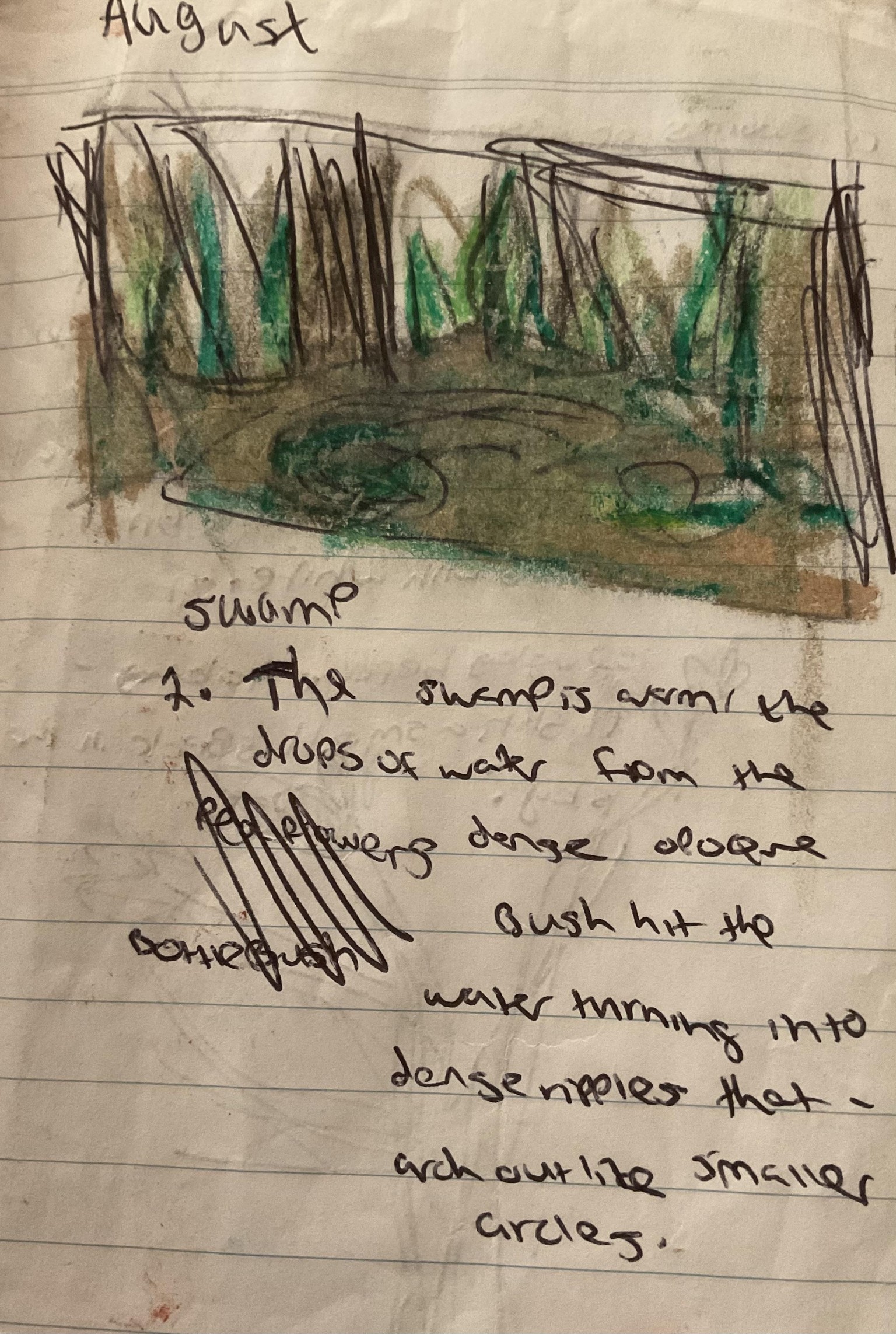 Nature journal spread - image 1 - student project