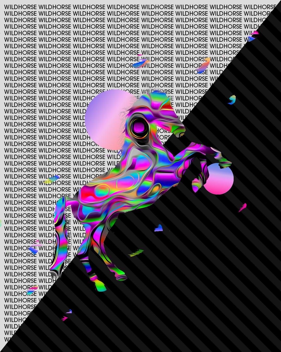 Wild Horse - image 2 - student project