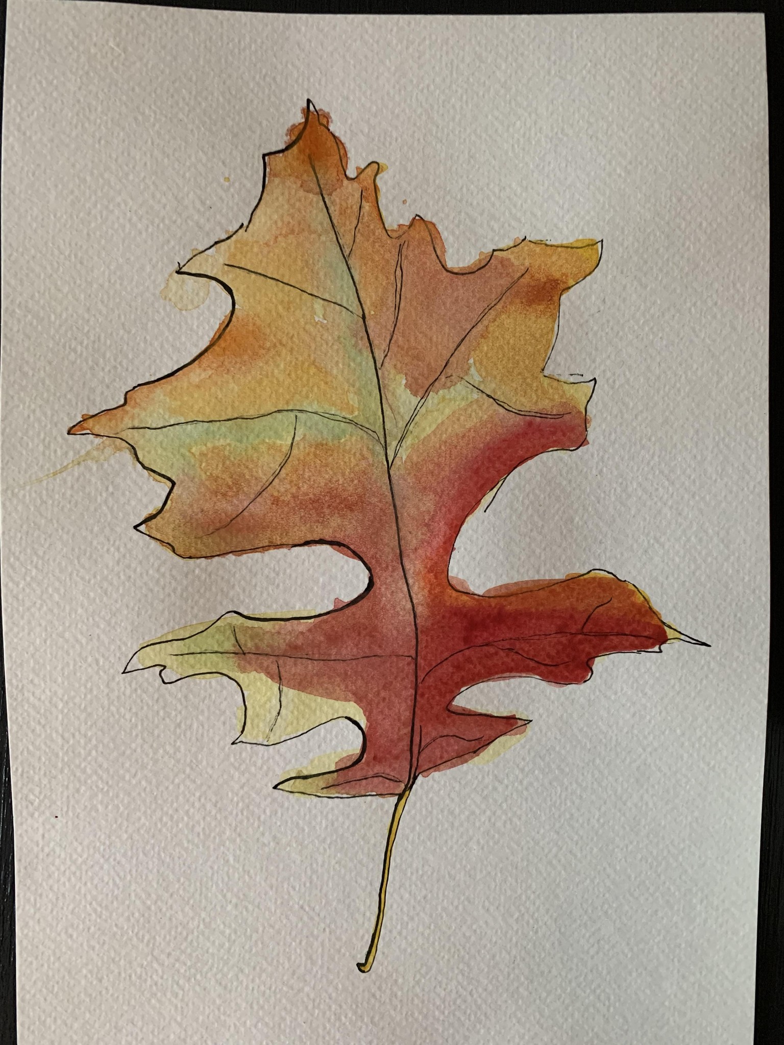 Expressive Leaf and Rose - image 1 - student project