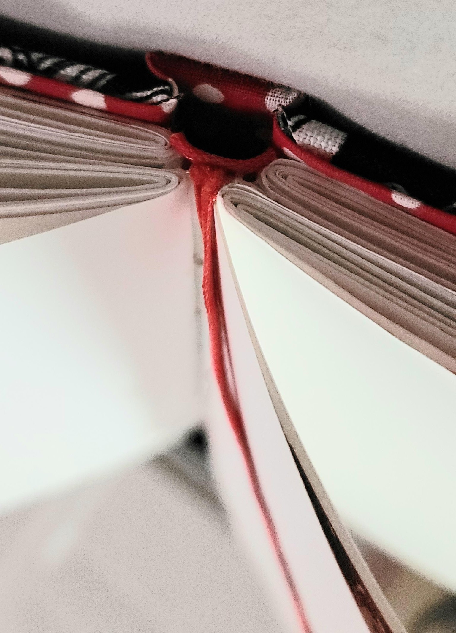 Different Colored Spine - image 4 - student project