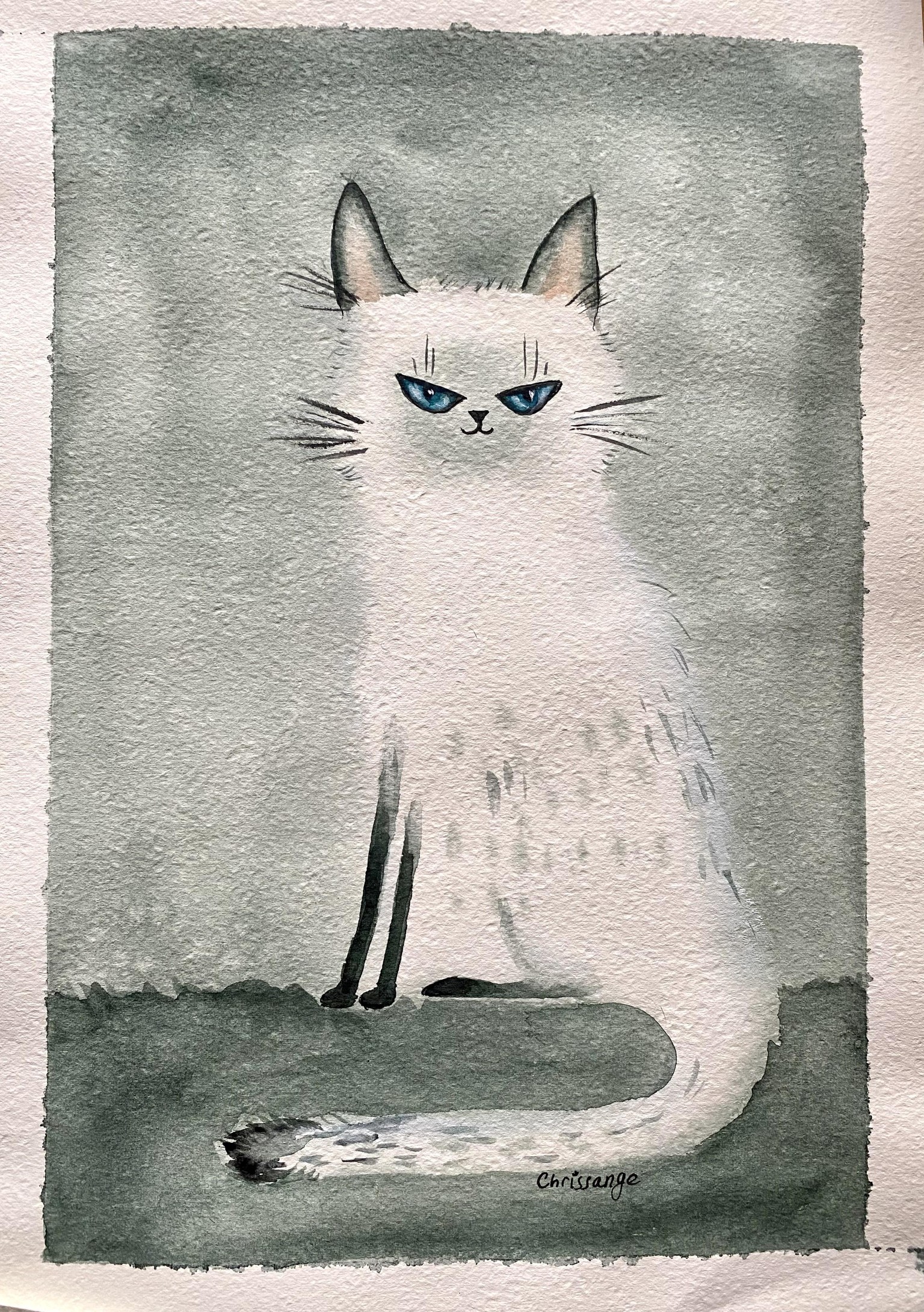 cats - image 2 - student project
