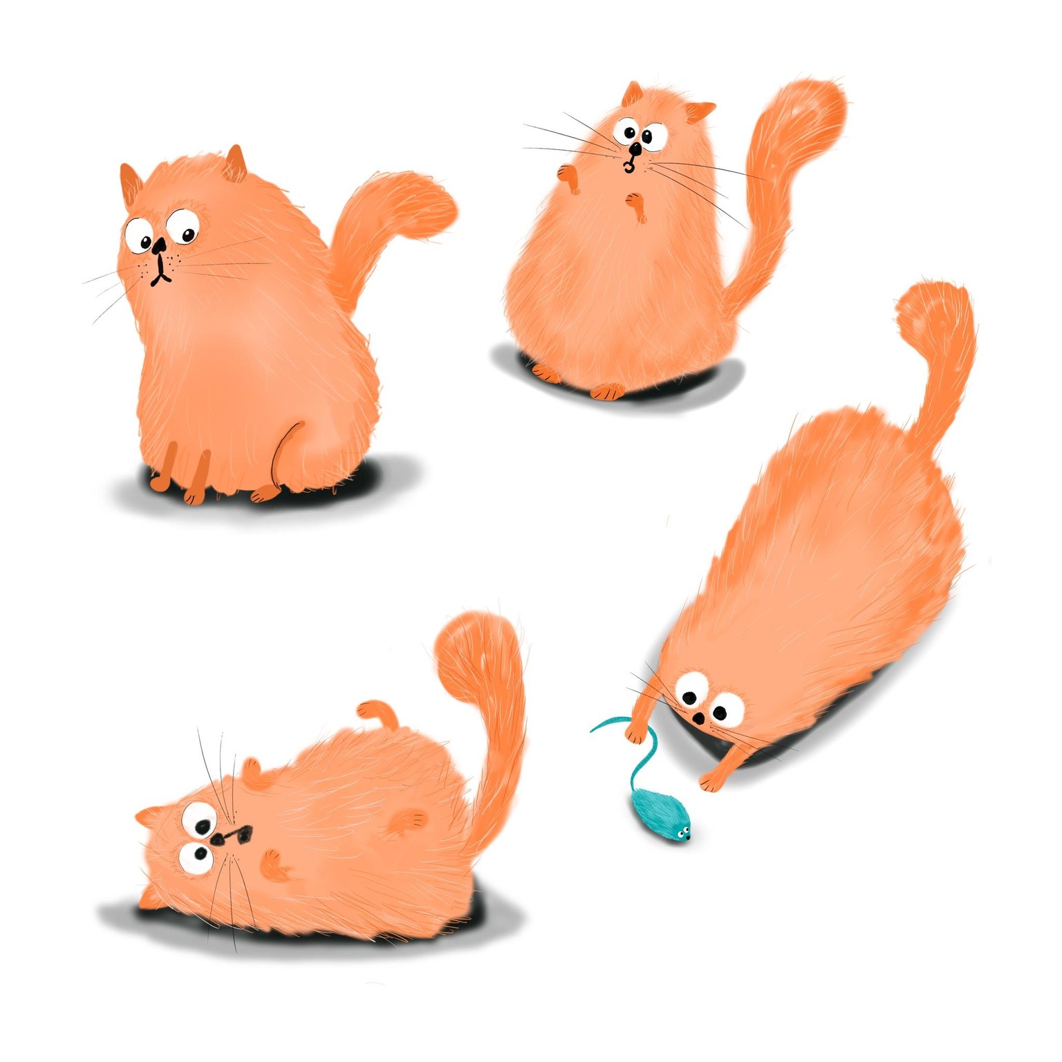 Orange fluffy cats - image 1 - student project