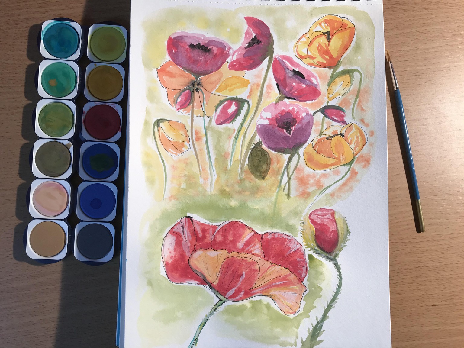 Enthusiast beginner's poppies - image 1 - student project