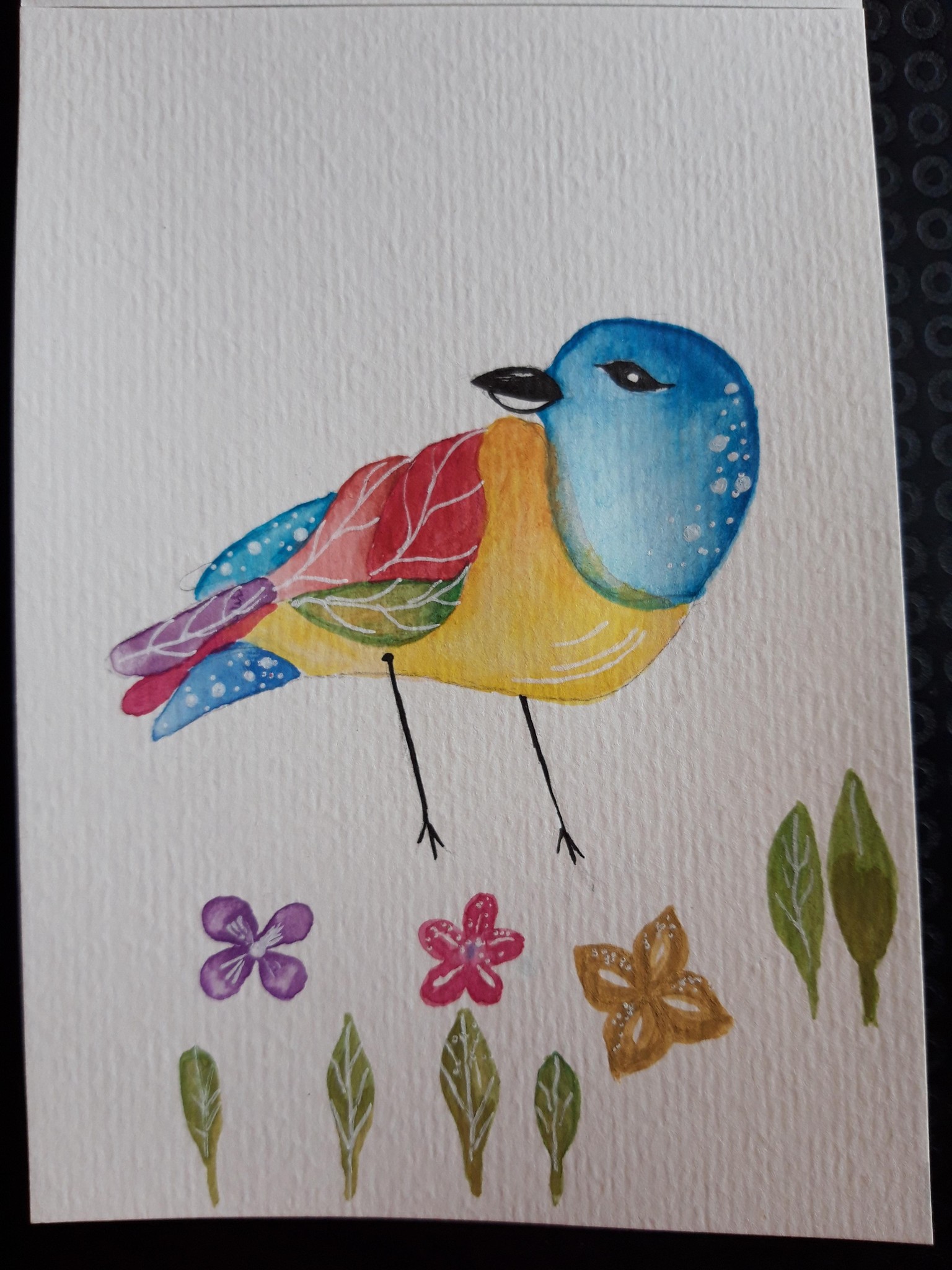 Enthusiast Beginner Birdy - image 2 - student project