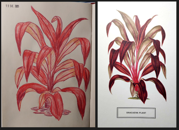 Dracena - Bent leaves practice - image 1 - student project