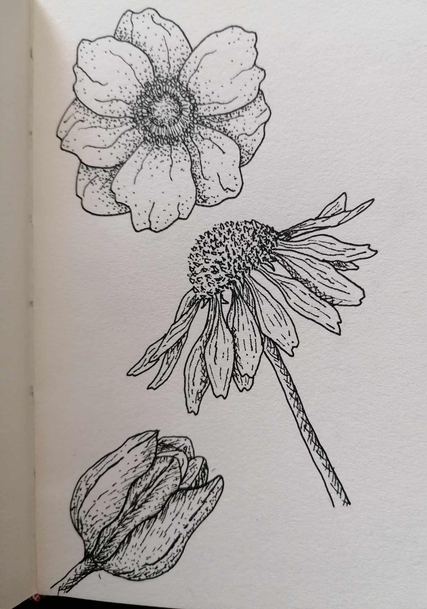 Flowers - image 2 - student project